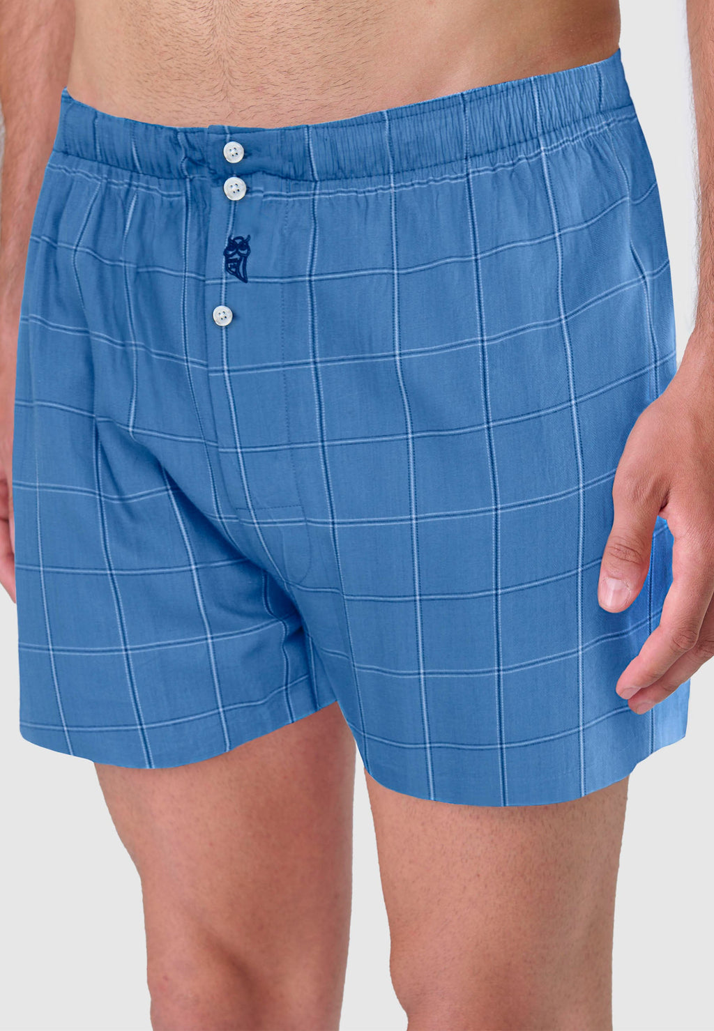 Calzoncillo Bóxer Hombre Algodón Popelín Cuadros - Azul 6933_38