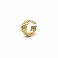 Anillo Maillage Absoluto