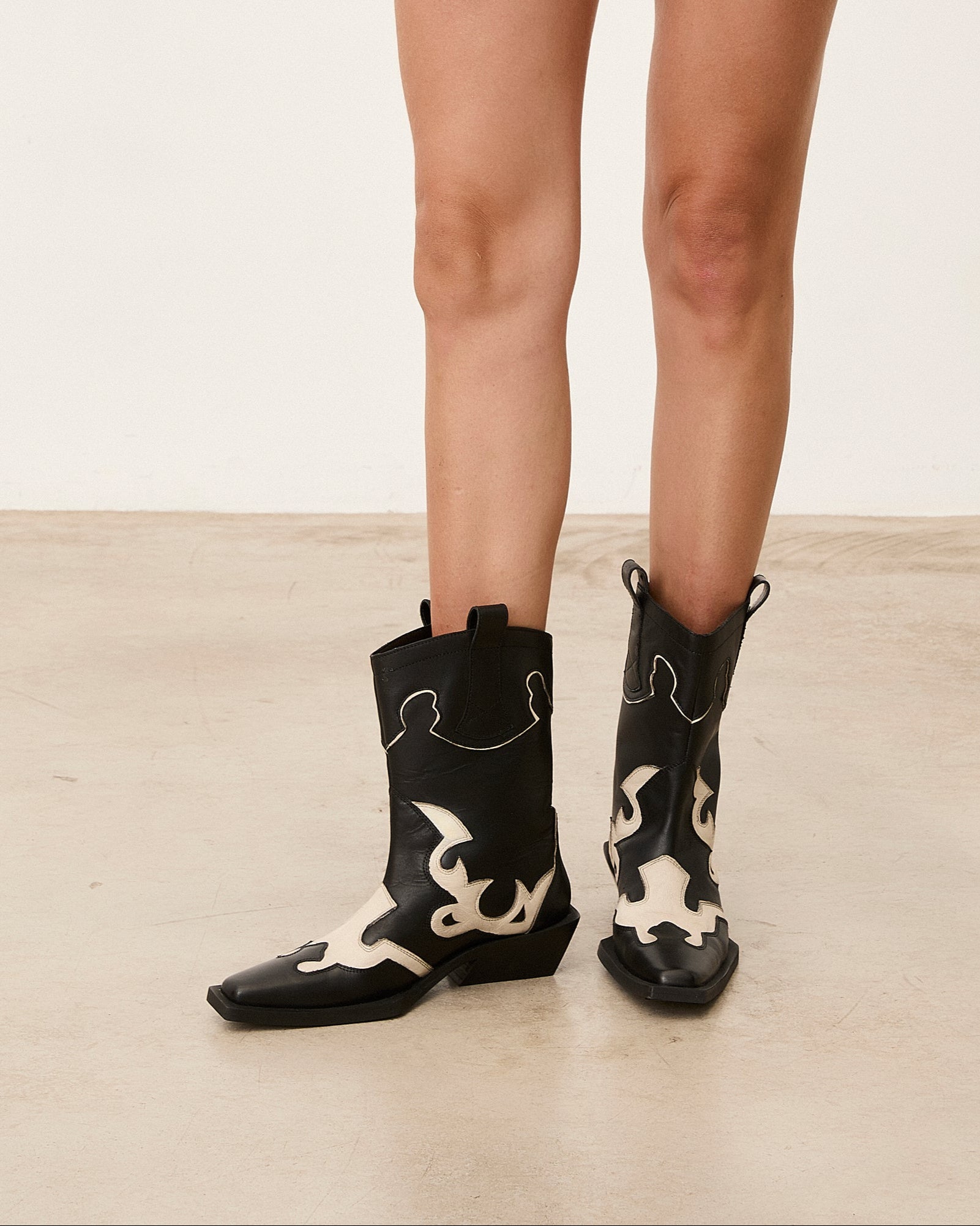 LORY WESTERN NEGRO