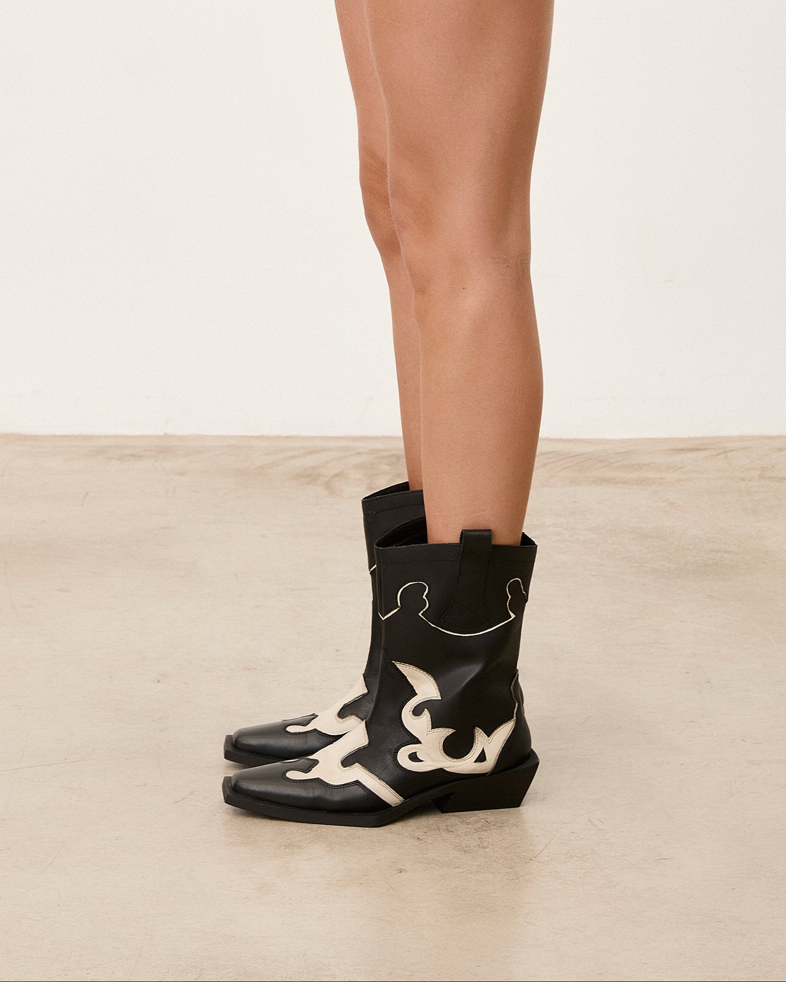 LORY WESTERN NEGRO