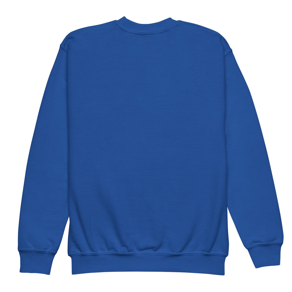 Sudadera niño Futbol Passion Green